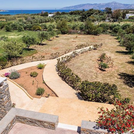 Villa Filizi - Filizi Naoussa Paros Santa Maria  Bagian luar foto